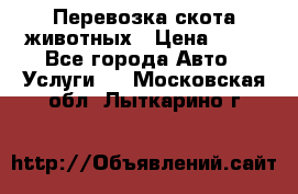 Перевозка скота животных › Цена ­ 39 - Все города Авто » Услуги   . Московская обл.,Лыткарино г.